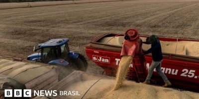 Legenda da foto, Cerca de 84% do consumo doméstico de soja na China depende de importações e m...