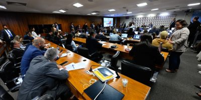 Em 38 reuniões, a CPMI do INSS ouviu 36 testemunhas, dentre elas o 'Careca do INSS', apontado pe...