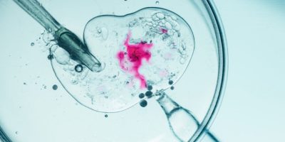 Fertilização in vitro