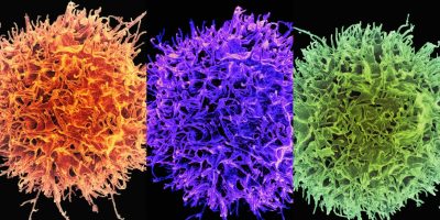 Raul Holderf Nascimento