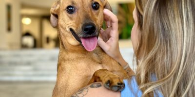 Para a concessão da guarda compartilhada, o animal de estimação deverá ter convivido a maior ...