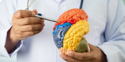 Neurologistas alertam: 5 hÃ¡bitos comuns que afetam a saÃºde do cÃ©rebro