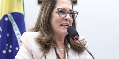 Mulheres Republicanas,Republicanos na Câmara,Z Home1 Projeto reforça proteção da imagem de cr...